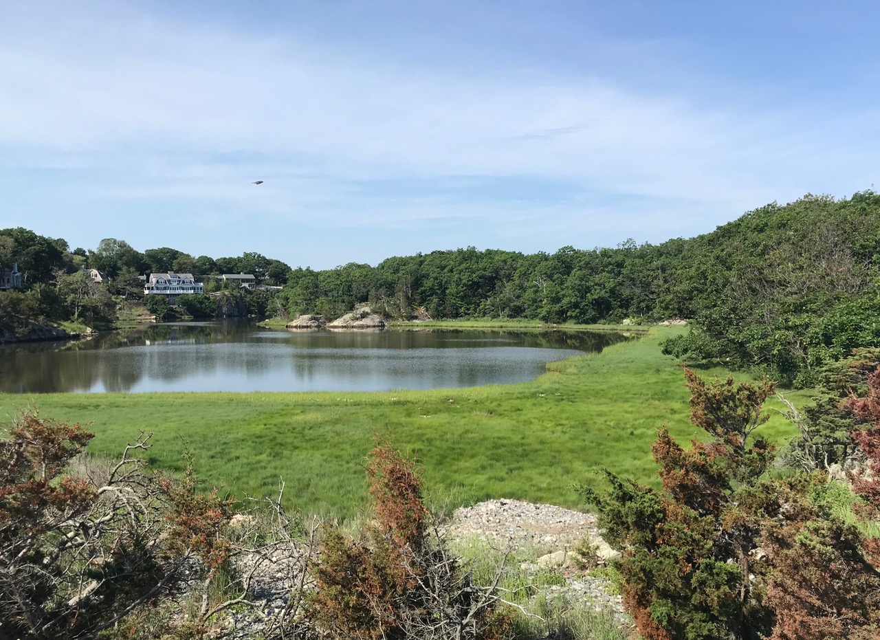 Steinmetz Wildlife Reserve on James Island Cohasset Conservation Trust